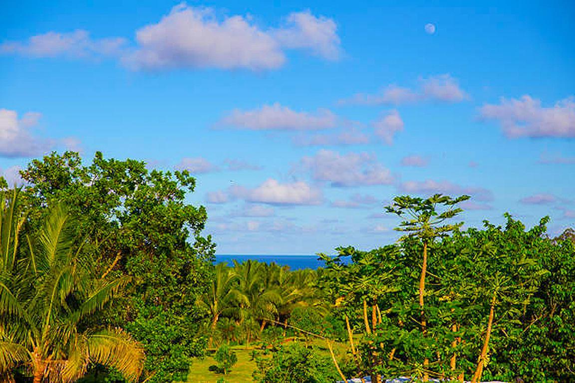 Kirpal Meditation And Ecological Center Pahoa Zewnętrze zdjęcie