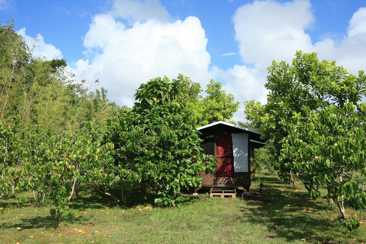 Kirpal Meditation And Ecological Center Pahoa Zewnętrze zdjęcie