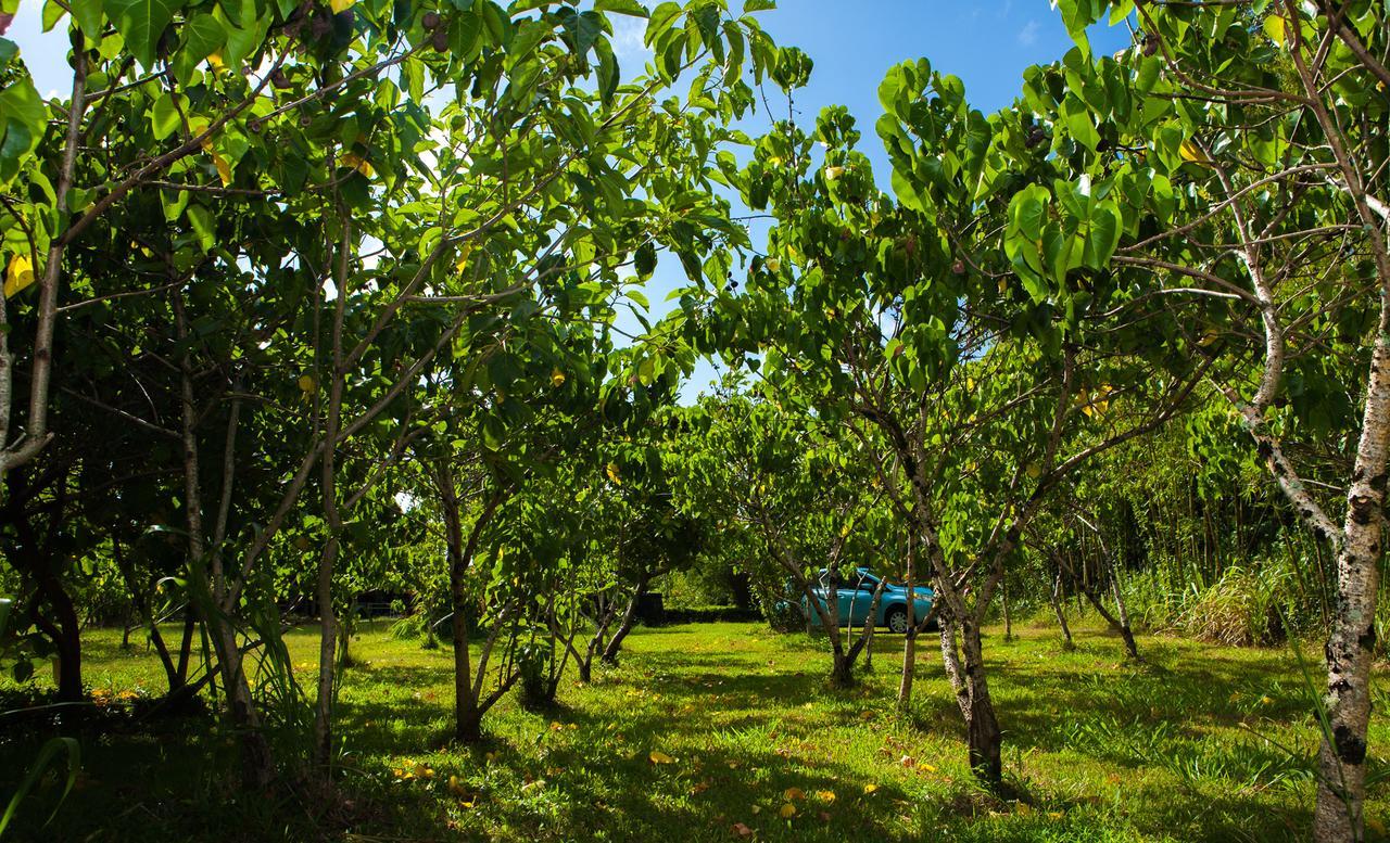 Kirpal Meditation And Ecological Center Pahoa Zewnętrze zdjęcie