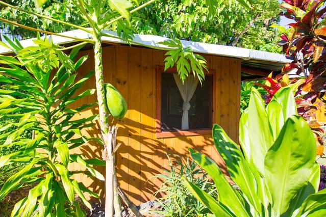 Kirpal Meditation And Ecological Center Pahoa Zewnętrze zdjęcie