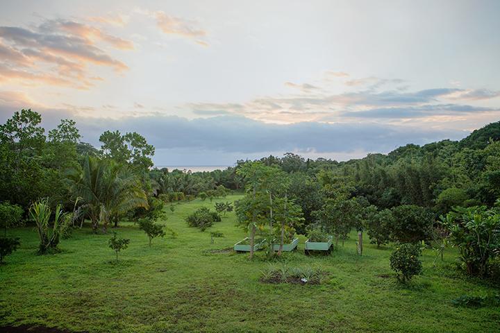 Kirpal Meditation And Ecological Center Pahoa Zewnętrze zdjęcie