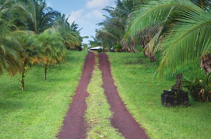 Kirpal Meditation And Ecological Center Pahoa Zewnętrze zdjęcie