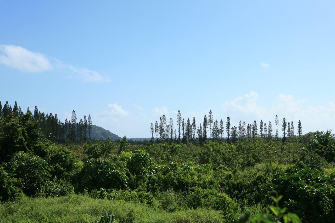 Kirpal Meditation And Ecological Center Pahoa Zewnętrze zdjęcie