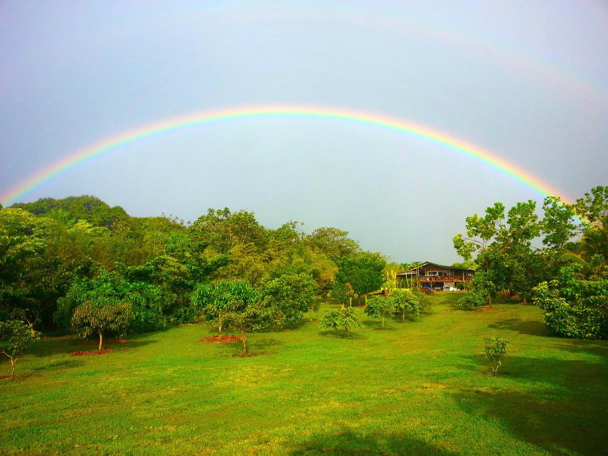 Kirpal Meditation And Ecological Center Pahoa Zewnętrze zdjęcie